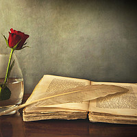Buy canvas prints of Desk in chiaroscuro with book single red rose and  by Luisa Vallon Fumi