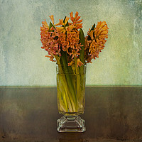 Buy canvas prints of Digital fine art, hyacinth bouquet in glass by Luisa Vallon Fumi