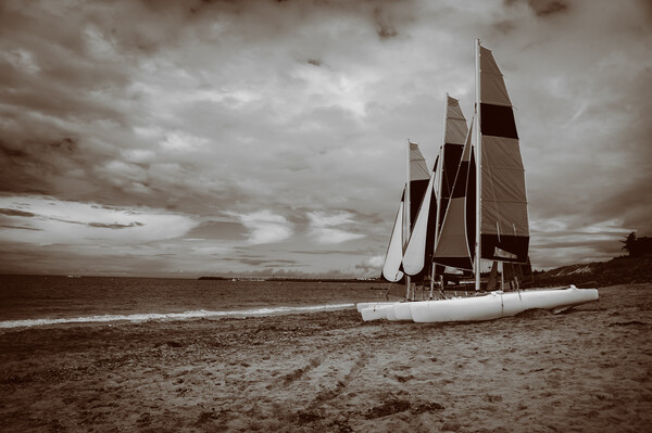 sailing boats on the beach in sepia Picture Board by youri Mahieu