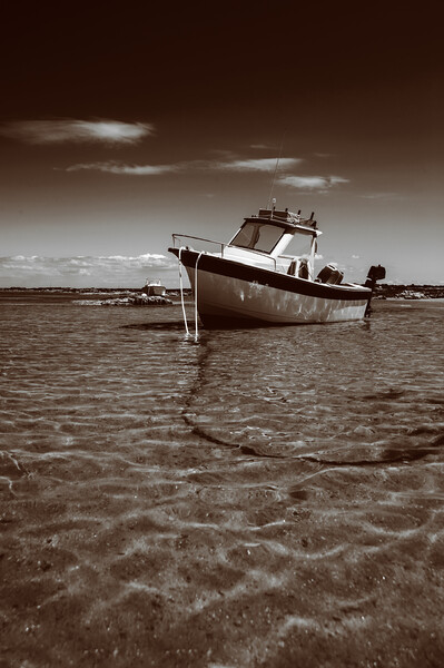 White boat on sand in sepia Picture Board by youri Mahieu