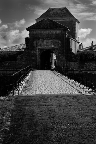 porte des campani in summertime in black and white Picture Board by youri Mahieu