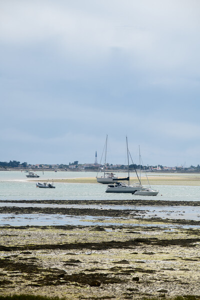 pleasure boats at lowtide Picture Board by youri Mahieu
