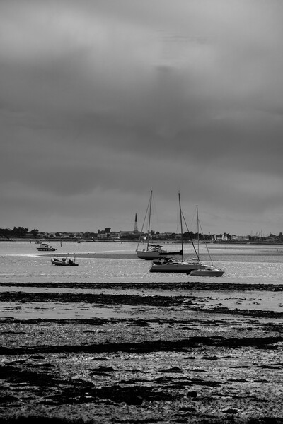 pleasure boats at lowtide in black and white Picture Board by youri Mahieu