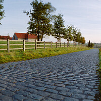 Buy canvas prints of paving sett road  in autumnal sunlight by youri Mahieu