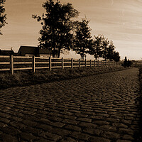 Buy canvas prints of paving sett road in autumnal sunlight in sepia by youri Mahieu