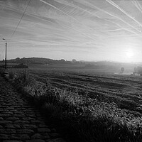 Buy canvas prints of paving sett roadin autumnal sunlight in black and white by youri Mahieu