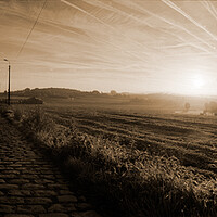 Buy canvas prints of paving sett roadin autumnal sunlight in sepia by youri Mahieu