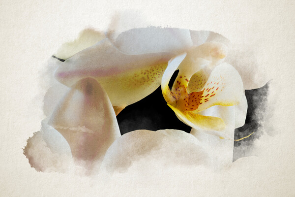 Watercolor of an inside an orchid Picture Board by youri Mahieu