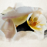 Buy canvas prints of Watercolor of an inside an orchid by youri Mahieu
