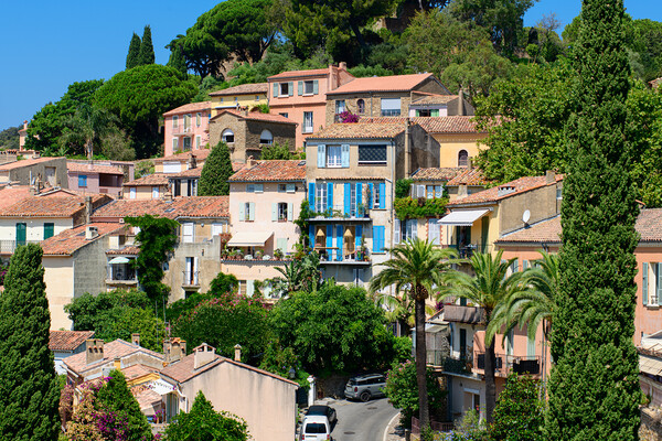 view on Bormes-les-Mimosas Picture Board by youri Mahieu