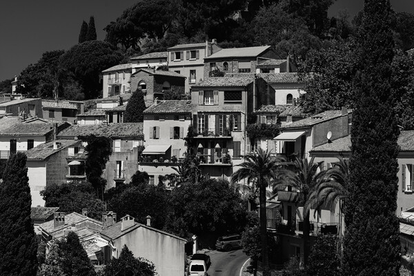 Black and white view on Bormes-les-Mimosas Picture Board by youri Mahieu