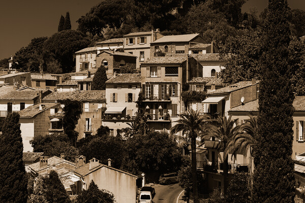 view on Bormes-les-Mimosas in sepia Picture Board by youri Mahieu