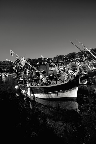 Seascape of Niel Moored Boats in black and white Picture Board by youri Mahieu