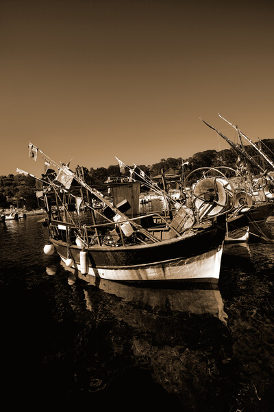 Seascape of Niel Moored Boats in sepia Picture Board by youri Mahieu