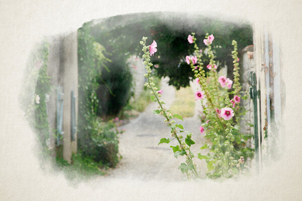 small alley with hollyhock in watercolor Picture Board by youri Mahieu