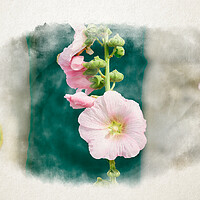 Buy canvas prints of Closeup of a Hollyhock in watercolor by youri Mahieu