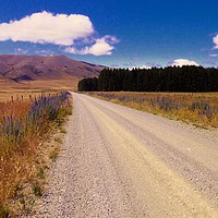 Buy canvas prints of Gravel road across the Canterbury plains, New Zeal by Mike Dale