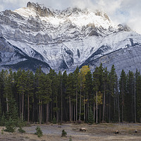 Buy canvas prints of Canadian Rocky Mountains landscape in Autumn by JIA HE