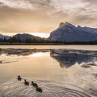 Buy canvas prints of Vermilion lakes sunrise, Banff national park by JIA HE