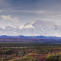 Buy canvas prints of Alaska Denali National Park in autumn by JIA HE