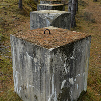 Buy canvas prints of Lossiemouth Woods Tank Traps by Steve Bishop