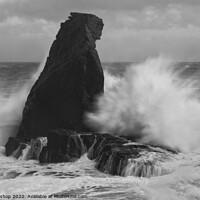 Buy canvas prints of Bracing against the storm - Lizard coast Cornwall by Steve Bishop