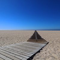 Buy canvas prints of Bike Track on Figueira da Foz Beach by Roz Collins