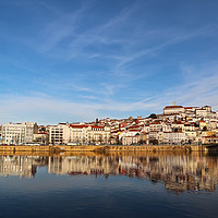 Buy canvas prints of Coimbra Winter Landscape by Roz Collins
