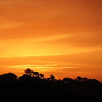 Buy canvas prints of Alentejo Sunrise by Roz Collins