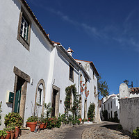 Buy canvas prints of A Street Scene in Marvão by Roz Collins