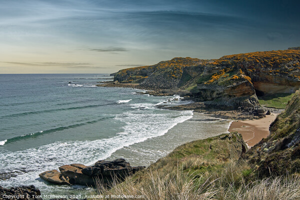 Serenity at Cove Bay Picture Board by Tom McPherson