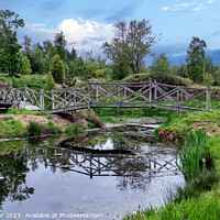 Buy canvas prints of  Wooden Bridge at Burgie Arboretum by Tom McPherson