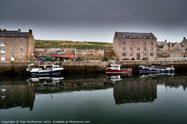 Serenity at Burghead Harbour Picture Board by Tom McPherson