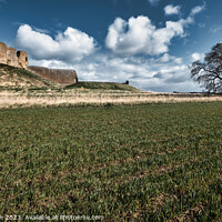Buy canvas prints of Serene Countryside Landscape, Duffus Castle by Tom McPherson