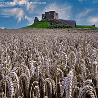 Buy canvas prints of Field of Barley at Duffus Castle by Tom McPherson