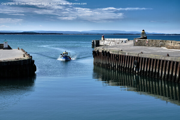 Fishing Boat coming Home Picture Board by Tom McPherson