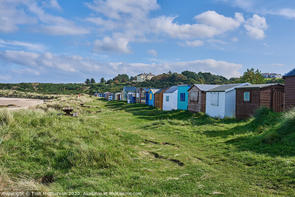 Vibrant Beach Huts in Hopeman Picture Board by Tom McPherson