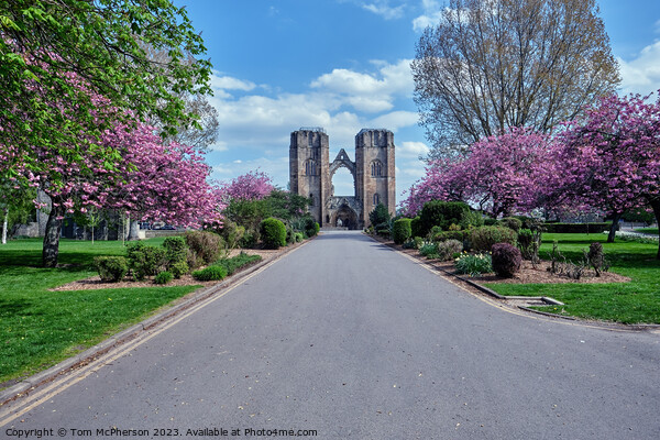 Serenity of Elgin Cathedral Picture Board by Tom McPherson