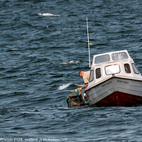 Buy canvas prints of  lobster fisherman at work in Moray Firth by Tom McPherson