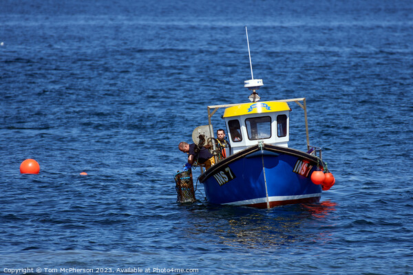 Lobster Fishing Boat on Calm Waters Picture Board by Tom McPherson