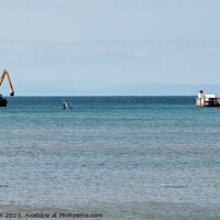 Buy canvas prints of Selkie Dredging in Burghead by Tom McPherson