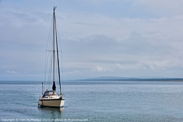 Serene Solitude on the Moray Firth Picture Board by Tom McPherson