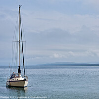 Buy canvas prints of Serene Solitude on the Moray Firth by Tom McPherson