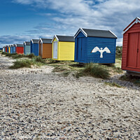 Buy canvas prints of Seaside Serenity, Findhorn Beach Huts by Tom McPherson