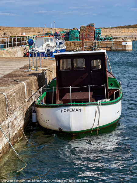 Lone boat at Hopeman Harbour Picture Board by Tom McPherson