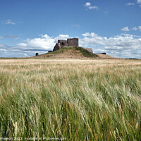Buy canvas prints of Ruins of Duffus Castle by Tom McPherson