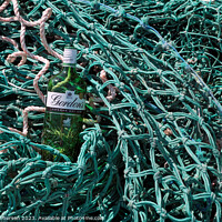 Buy canvas prints of Gin on Nets by Tom McPherson