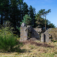 Buy canvas prints of The Millie Bothy by Tom McPherson