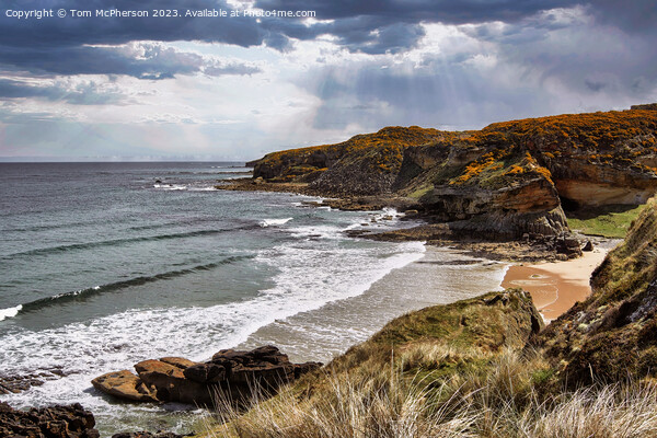 Serene Cove Bay Picture Board by Tom McPherson