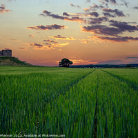 Buy canvas prints of Fiery dawn at Duffus Castle by Tom McPherson